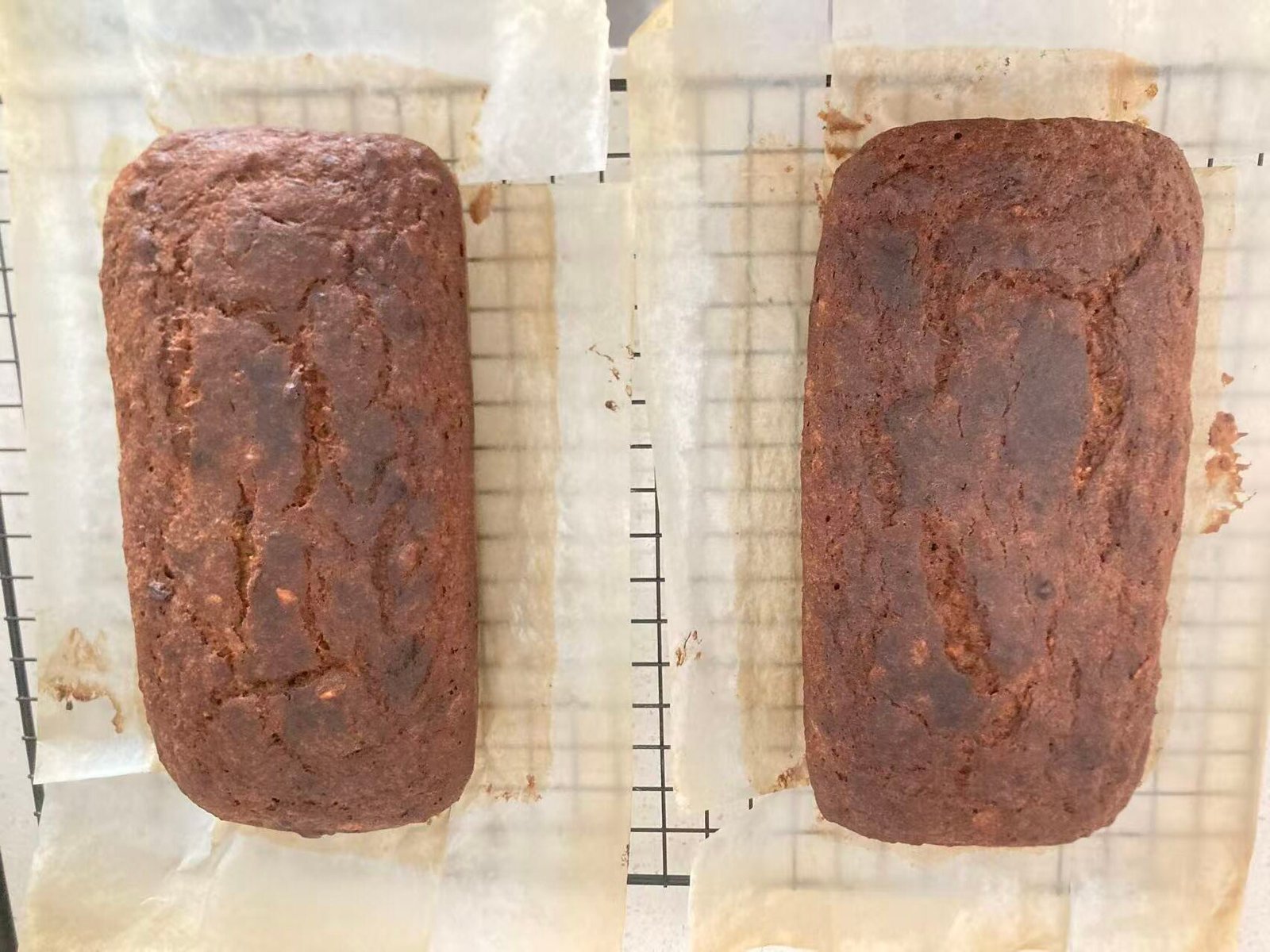 Caveman-style banana muffin cacao nibs cashew nuts psyllium baked in loaf pan